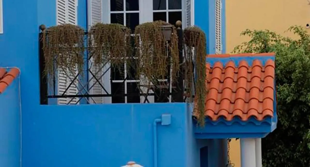 Bed & Breakfast Tenerife San Miguel de Abona